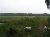 Klik op de foto voor groter formaat
